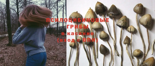 ешки Алексин