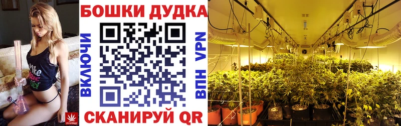 кракен   Липки  Конопля ГИДРОПОН 